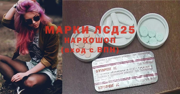 сатива Краснослободск