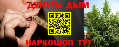 мдпв Обь