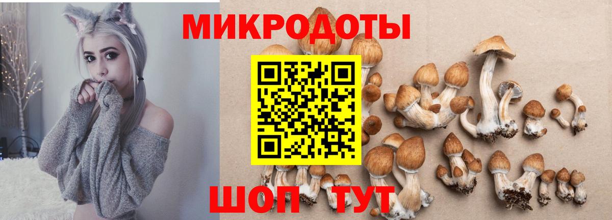 Псилоцибиновые грибы мицелий  Псилоцибиновые грибы Magic Shrooms  Томск  Вход с VPN 